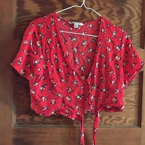 American Eagle Crop Top